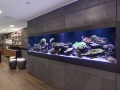 Aquariums de luxe